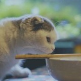 狠点干，早点散