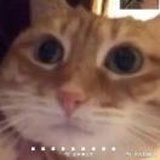 天津网友(*ﾟｪﾟ*)