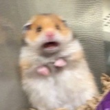 秀一