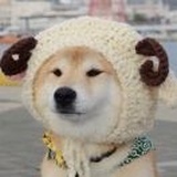 LacieWang