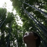 梁红玉