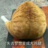 童草念