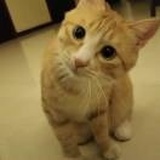 堵桥大佬。