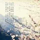 人生若只如初见