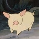 闫柯