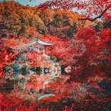 小欣欣