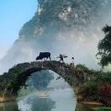 陈彬