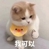 丝威