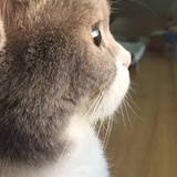 豆友189462629