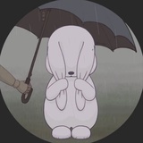 雨时多云偶阵晴