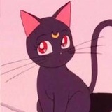 查无此人