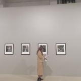 -饭儿饭
