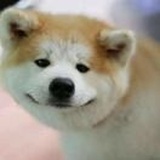 MGQ