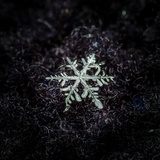 snowflake