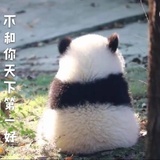 上坡路