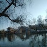 稻香村里品红楼