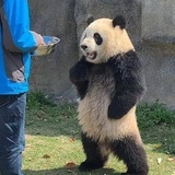 山雨欲来风满楼
