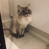 娜娜酱