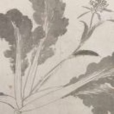 给您添毛肚了