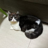 坚持住呀小番茄