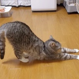 云淡淡