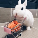 香梨想早起