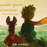 皮皮糖