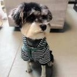 破罐儿