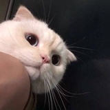 瓜不错