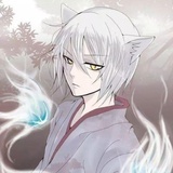 不爱吃鱼的猫