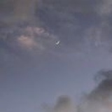 🌙