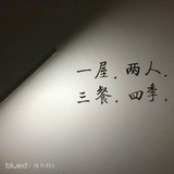 不拖拉的猫