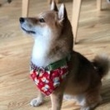 三无产品