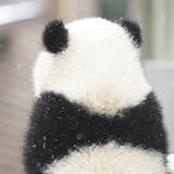 哎呀呀呀呀呀呀