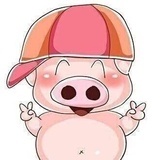 小志