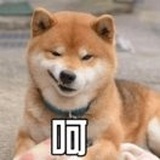 存在