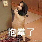 今天要早睡