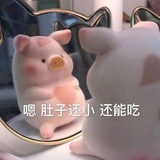 胖胖.