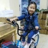 我是一只鱼