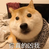 酸辣鱼粉丝汤