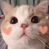 🌸