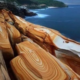 回首恨伊人