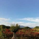 潜行7998