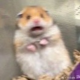 一朵昀🐣
