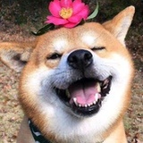 清风徐来