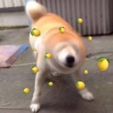xixixizhouu