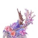 所有@我的都是羡