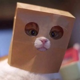 马鹿