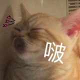 爱快乐老家