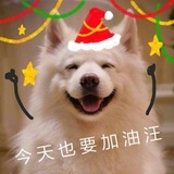 神秘女孩